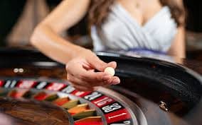 betpro com Betpro Com Kaun Hai Aur Kya Karta Hai